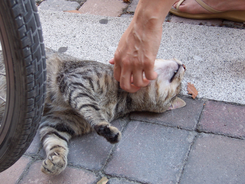100_0074.JPG