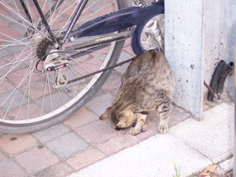 100_0047.JPG