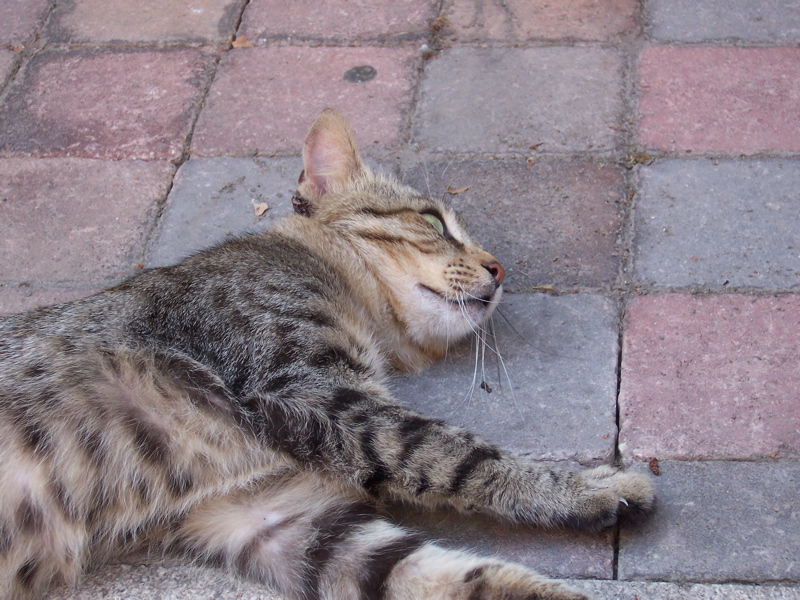 100_0083.JPG