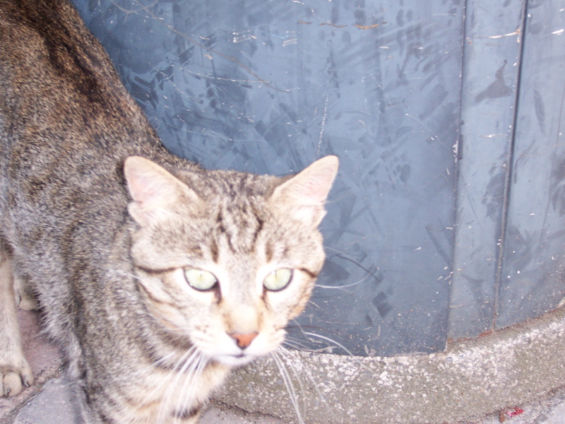 100_0048.JPG