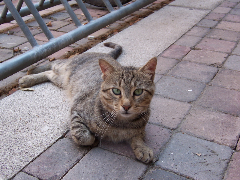 100_0089.JPG