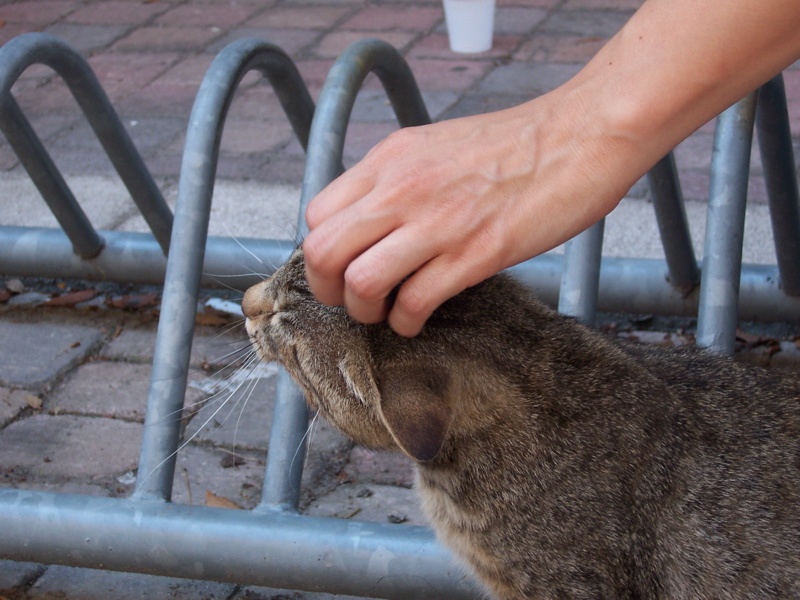 100_0057.JPG